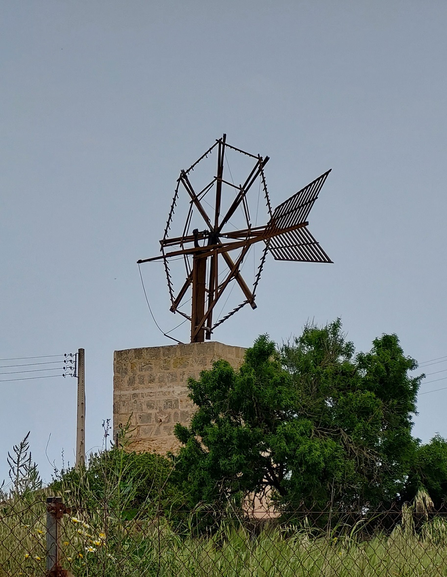 Mallorca - Campos - 2022